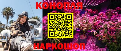 ешки Моздок