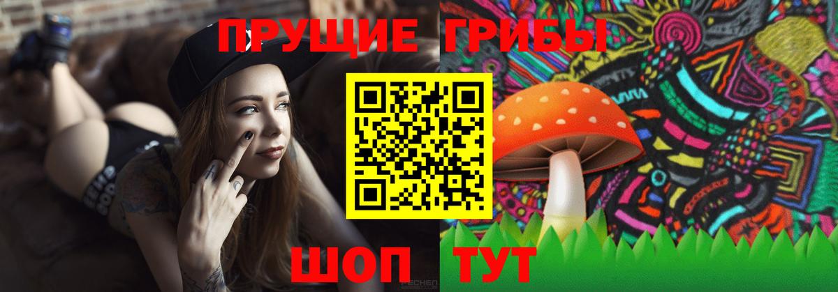 Галлюциногенные грибы Magic Shrooms Черкесск